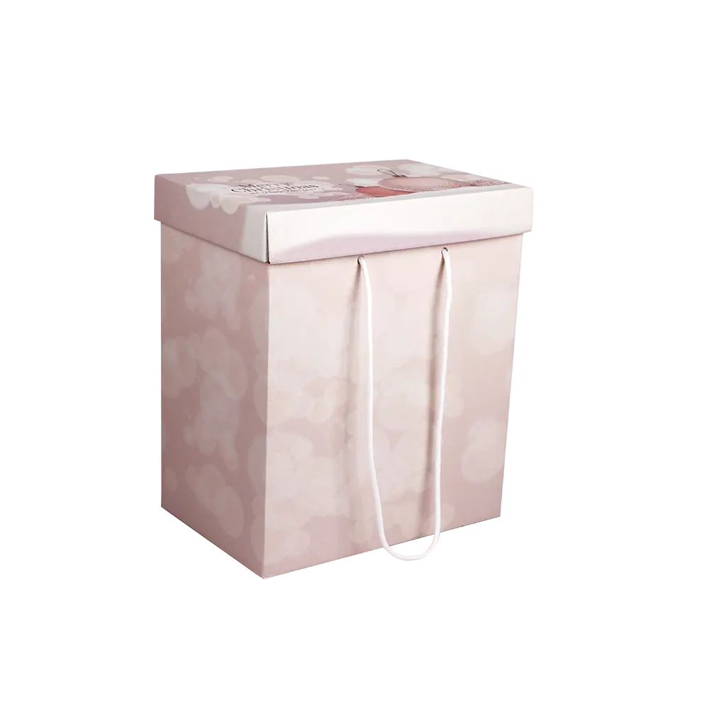 Cajas Regalo Navidad