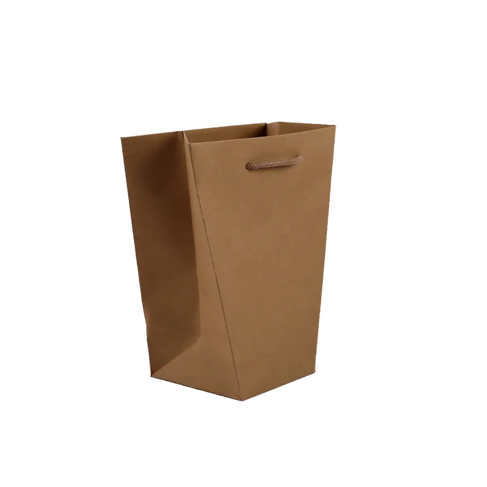 Bolsas sin impresión
